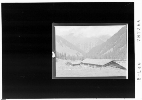 [Untere Gaflunaalpe / Silbertal]