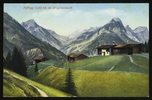 Neßlegg (1485 m) im Bregenzerwald