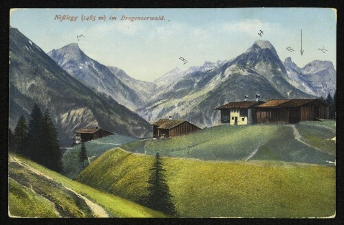 Neßlegg (1485 m) im Bregenzerwald