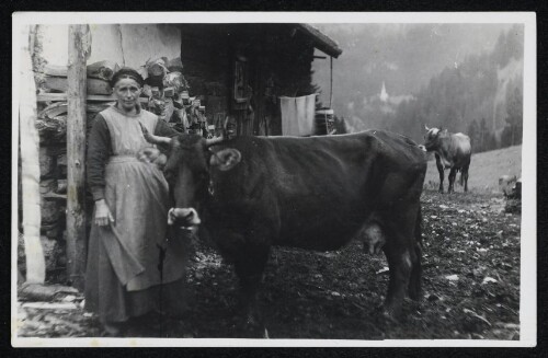 Auf der Alpe Felle Schröcken