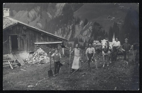 Alpe Felle Schröcken