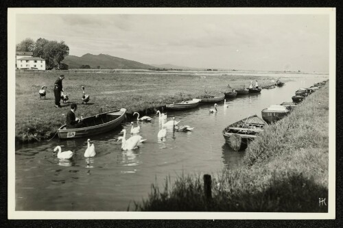 [Hard, Schwäne und Boote]