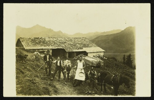 Alpe Willam / Ober bei Au