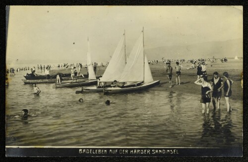 Badeleben auf der Harder Sandinsel