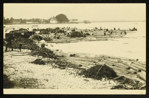 [Hochwasser 1910, Bergung des Trift- und Wildholzes]
