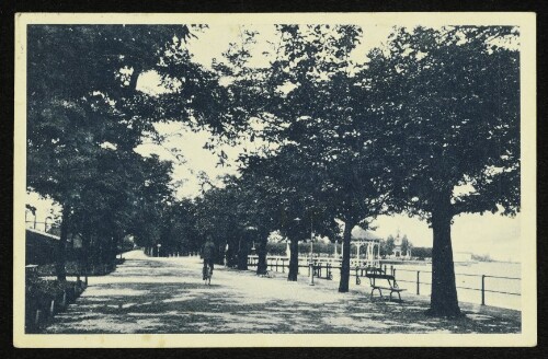 Bregenz, Seepromenade