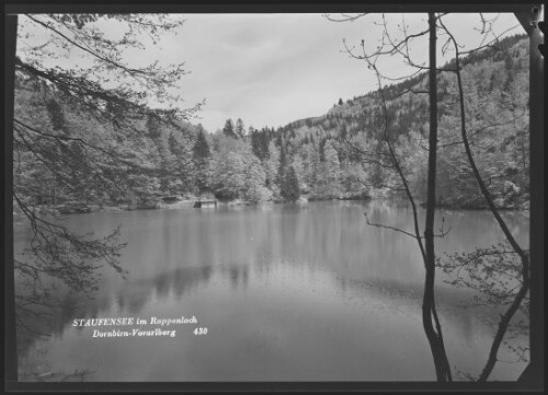 Staufensee im Rappenloch Dornbirn-Vorarlberg