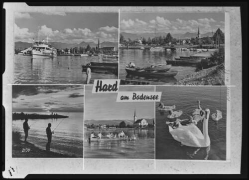 Hard am Bodensee