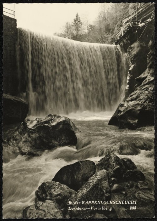 In der Rappenlochschlucht Dornbirn-Vorarlberg