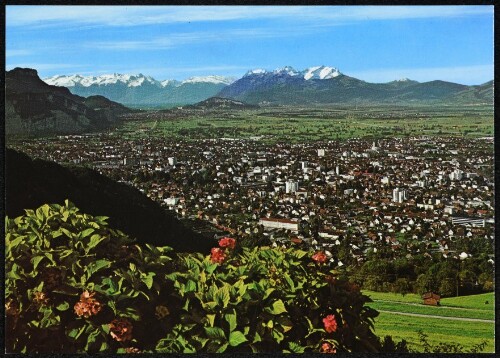 [Dornbirn] : [Gartenstadt Dornbirn, Vorarlberg gegen Rheintal u. Schweizer Berge ...]