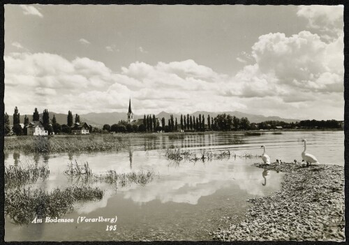 [Hard] Am Bodensee (Vorarlberg)