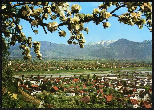 [Lustenau] : [Blick vom Schweizer Berg auf Lustenau am Rhein Hauptort der Vorarlberger Stickereiindustrie ...]