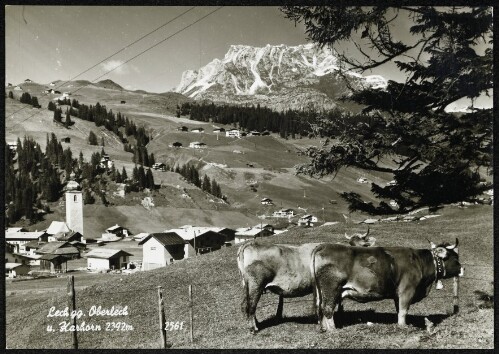 Lech gg. Oberlech u. Karhorn 2392 m