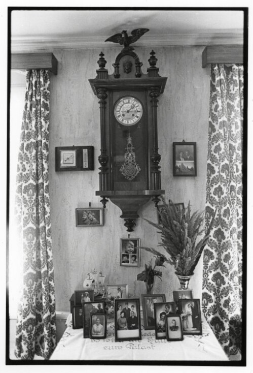 Hohenems, die Familienaufstellung