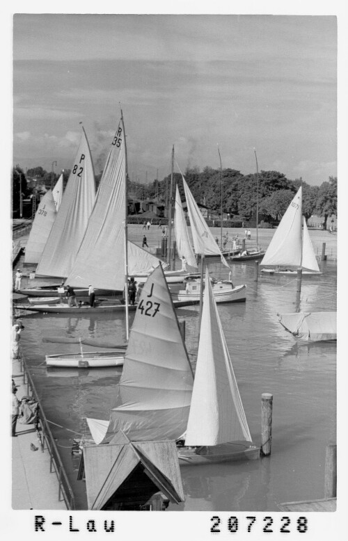 [Segelregatta auf dem Bodensee]