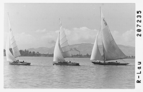 [Segelregatta auf dem Bodensee]