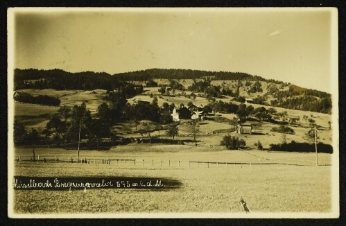 Müselbach : Bregenzerwald