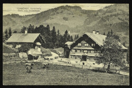 Torbündt : Vorarlberg