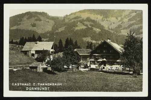 Gasthaus z. Tannenbaum : Dornbündt