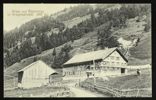 Gruss aus Sippersegg im Bregenzerwald (900 m)