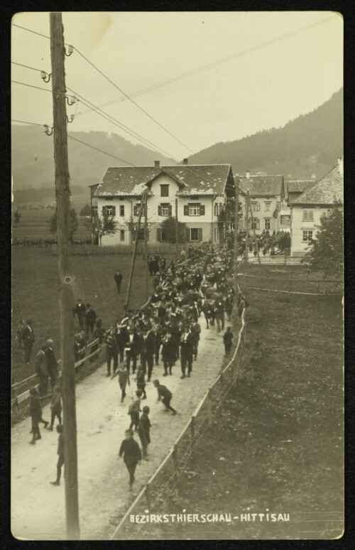 Bezirkstierschau - Hittisau