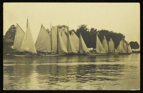 Segelboote im Bregenzer Hafen