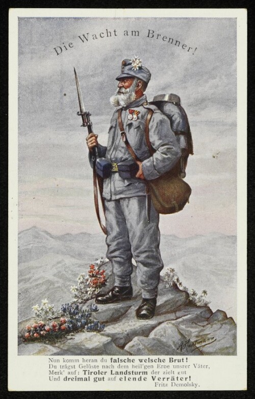 Die Wacht am Brenner! : Nun komm heran du flasche welsche Brut! Du trägst Gelüste nach dem heil'gen Erbe unserer Väter ...