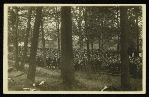 Angelobung von Soldaten