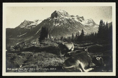Blick von der  Hohe Welt , 1800 m auf Omeshorn, 2558 m u. Hasenfluh, 2537 m (Vorarlberg)