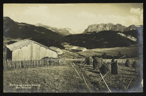 Schwarzenberg Br. Wald