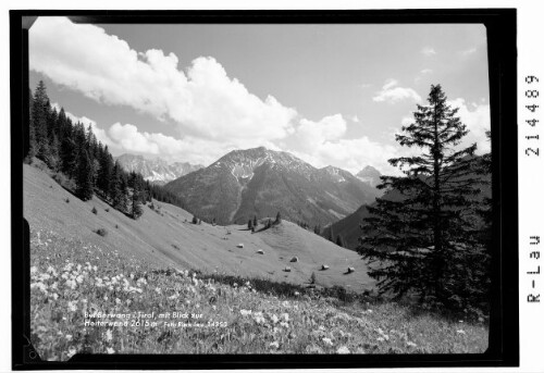 Bei Berwang / Kögele mit Blick zur Heiterwand und Namloser Wetterspitze