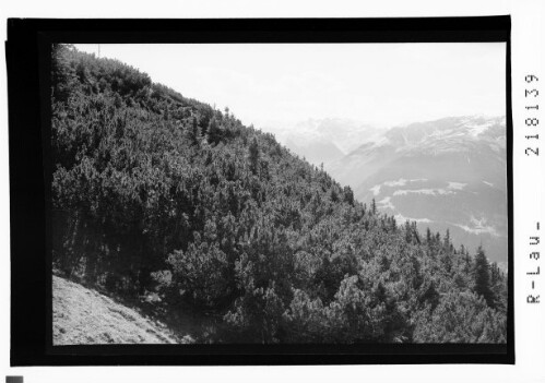 [Rhätikonpanorama vom Itonskopf / Montafon]