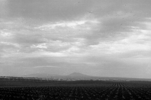 Afrikarundfahrt 1932 - Algerien, Algier