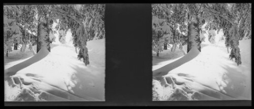 Bregenz im Winter - Skilauf