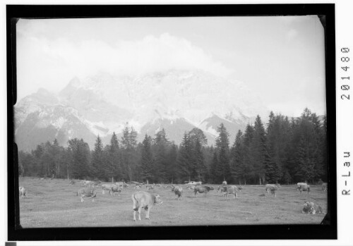 [Blick zum Zugspitzmassiv]