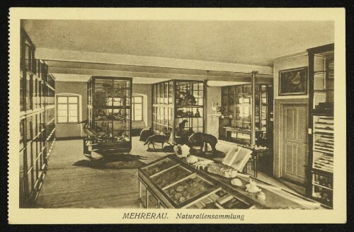 Mehrerau. Naturaliensammlung