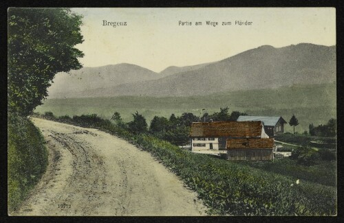 Bregenz - Partie am Wege zum Pfänder