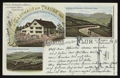 Gruss aus der Fluh b./Bregenz a./Bodensee : Gasthaus zur Traube 700m
