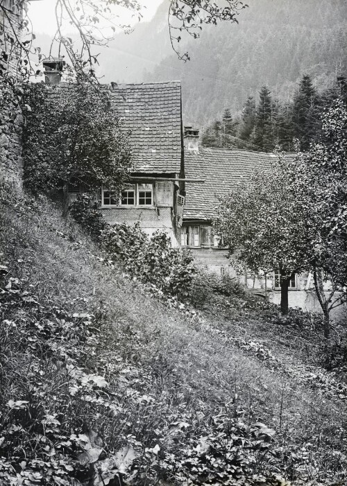 Götzis in Richtung Wuhrmühle