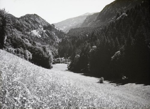 Götzis-Stähle mit Hoher Kugel
