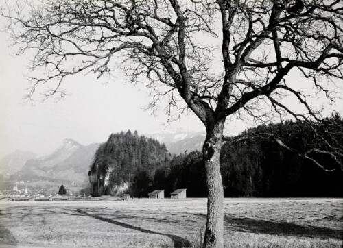 Götzis mit Kapf