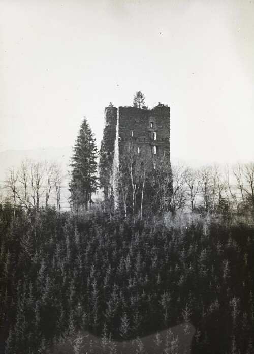 Ruine Neu-Montfort