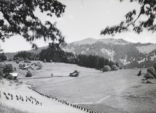 Hohe Kugel