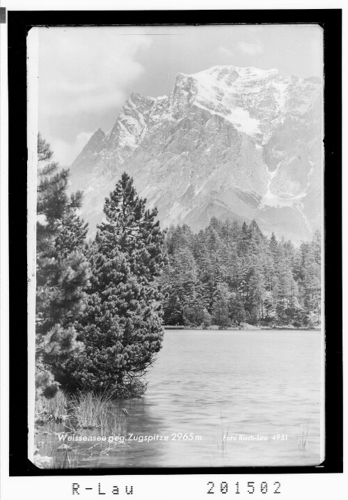 Weissensee gegen Zugspitze 1965 m : [Weissensee gegen Wetterstein Gebirge]