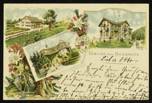Gruss vom Bodensee : Gasthaus zur Traube an der Fluh, Gebhardsberg, Hotel auf dem Pfänder