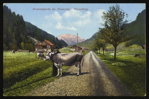 Strassenpartie im Klostertal : Vorarlberg.
