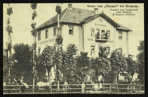 Gruss vom  Bäumle  bei Bregenz : Pension und Restaurant  zum Bäumle , B. Schorer, Besitzer