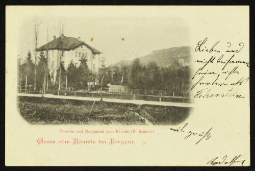 Gruss vom Bäumle bei Bregenz : Pension und Restaurant zum Bäumle (B. Schorer)