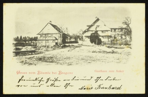 Gruss vom Bäumle bei Bregenz : Gasthaus zum Anker