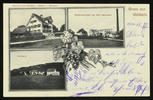 Gruss aus Weidach : Gasthaus zum Schwanen, Weidach b. Hörbranz : Wolldeckenfabrik von Gebr. Sannwald : Hörbranz